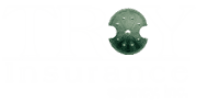 Troy Insurance Inc
